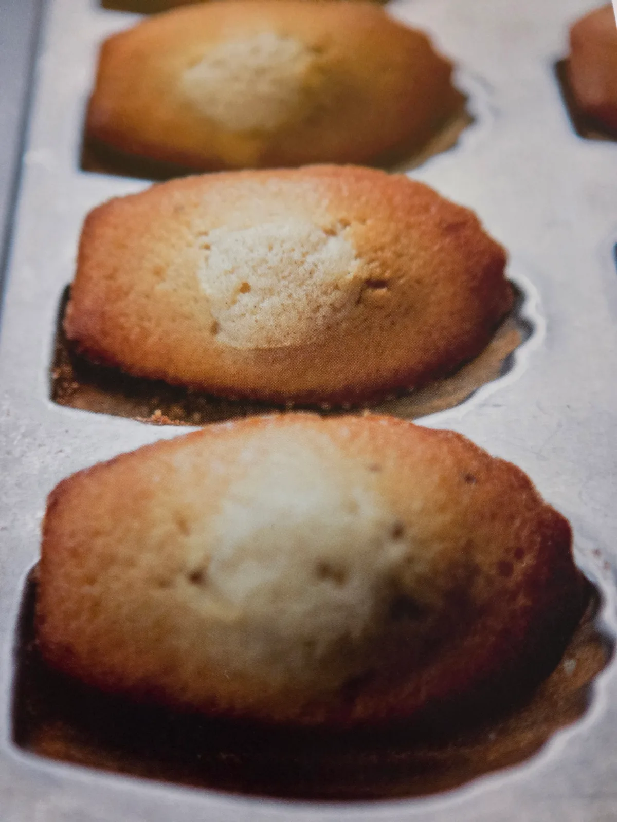 MADELEINES